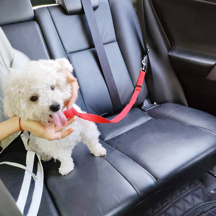 Cinturón de seguridad ajustable 🐶